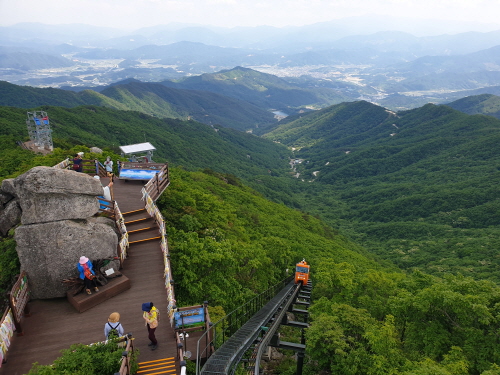 메인사진