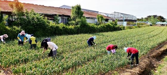 메인사진