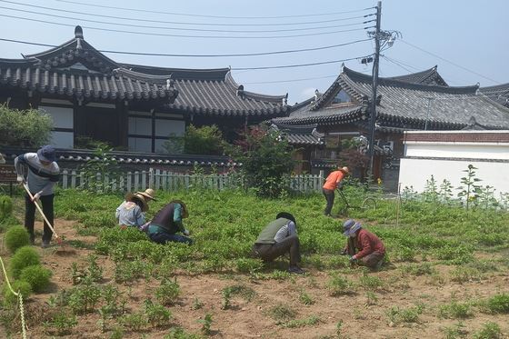 메인사진