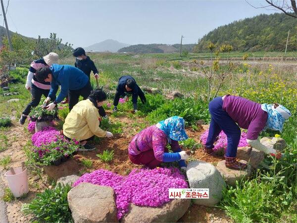 메인사진