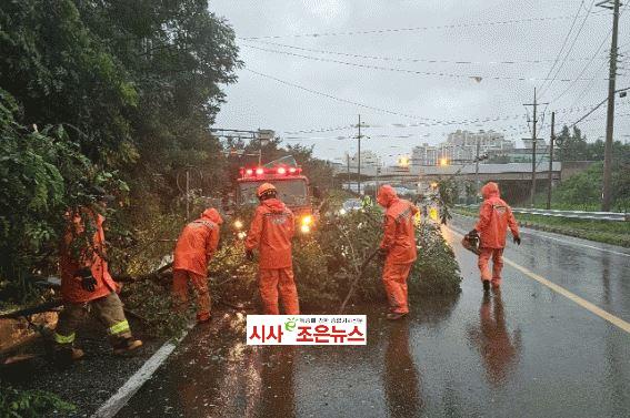 메인사진