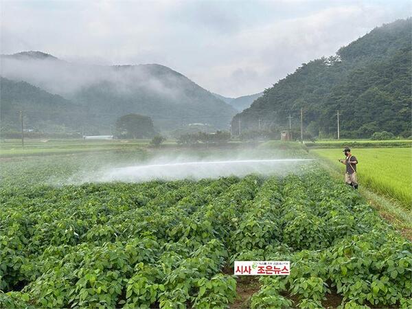 메인사진