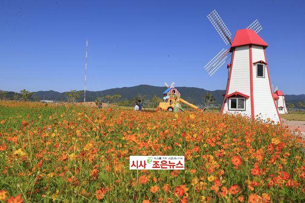 메인사진