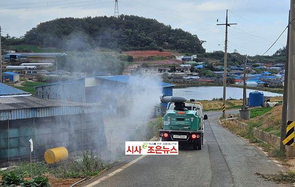 메인사진