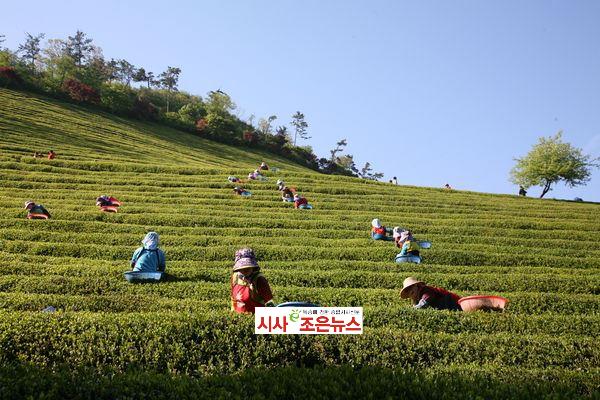 메인사진