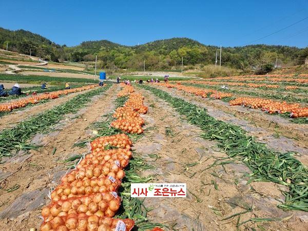 메인사진