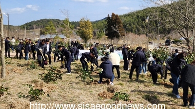 메인사진