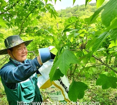 메인사진