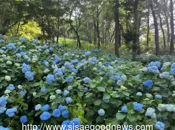 메인사진