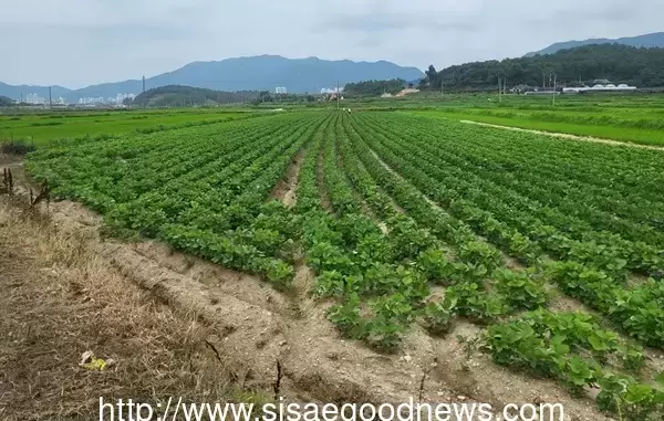 메인사진