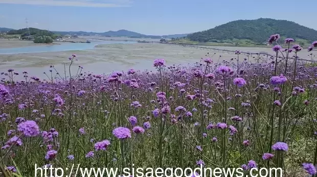 메인사진