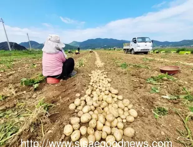 메인사진