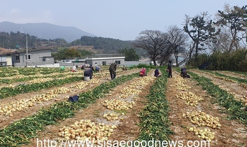 메인사진